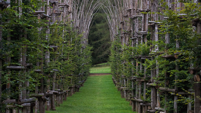 Illustration for article titled Behold These Incredible Works Of Architecture Made Out Of Living Trees